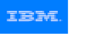 Summer Internship at IBM