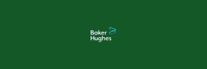 Summer — LEAD Field Engineering Internship (Egypt) 2024 Opportunities, Baker Hughes, Cairo Egypt