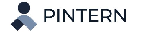 pintern logo text
