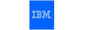 Summer Internship at IBM