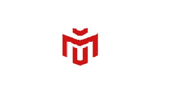 Digital Marketing Intern at MURSTACK