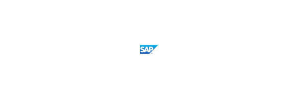 Account Profile – Internship, SAP-Cairo