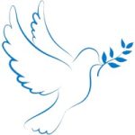 Dove Solutions